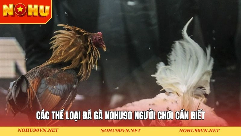 Các hình thức nổi bật tại sảnh đá gà Nohu90